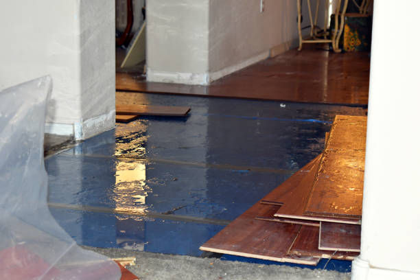 Professional Water Damage Restoration technician working in Marcus, IA